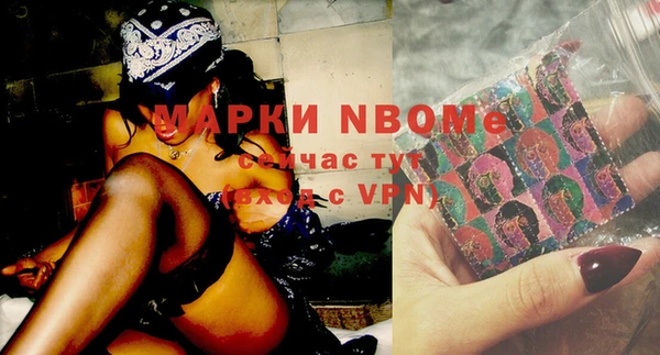 стаф Арсеньев