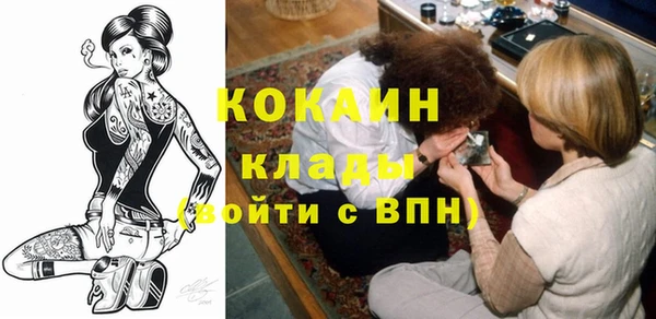 стаф Арсеньев